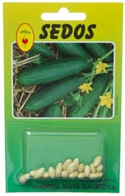 Bestent Uhorka siata šalátová 20 semien