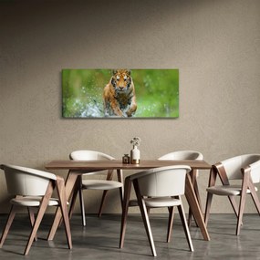Obraz - Bežiaci tiger (120x50 cm)