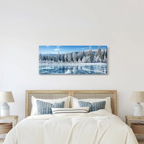 Obraz zamrznutého jazera a zasnežených stromov (120x50 cm)