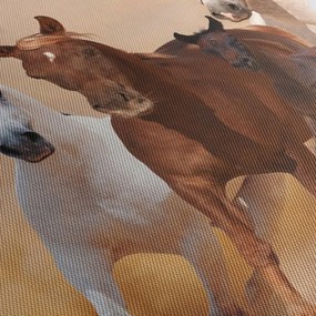 Obraz - Stádo koní (90x60 cm)