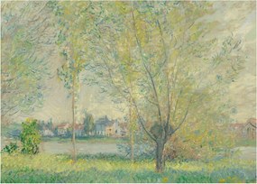 Obraz - Claude Monet, The Willows, reprodukcia (70x50 cm)