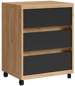 Skrinka na kolieskach Iga Dub Craft / čierna Mat