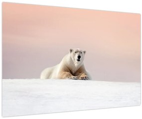 Obraz - Ľadový medveď (90x60 cm)