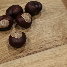 Spoltex, PVC podlaha - lino Ontario Natural, na mieru, šíře 4m, hnedá, filc, chodba / predsieň