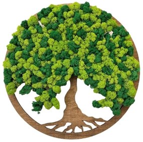 Strom na stenu z machu Naga 50 cm