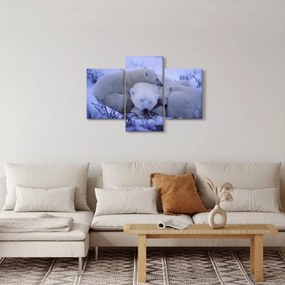 Obraz - Ľadové medvedíky (90x60 cm)
