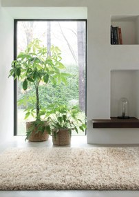 Osta, Kusový koberec Rhapsody 2501 101, 80x140, béžová, obývacia izba