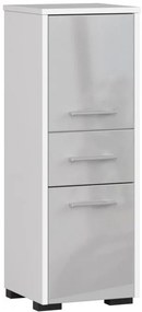 Kúpeľňová skrinka FIN 30 2D 1SZ 85 cm metalická, lesk