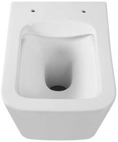 Gamma Mut, závesná WC misa 51x36 cm Rimless s pomaly padajúcim sedadlom, biela lesklá, GMA-MUT-202