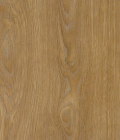 IVC Commercial, PVC podlaha - lino Logitex Ultimate 55 Elias T44, na mieru, šíře 2m,4m, hnedá, filc, chodba / predsieň