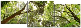 Obraz na plátne - Zelené stromy v lese - panoráma 5194D (90x30 cm)