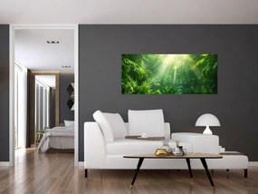 Obraz - Dažďový prales (120x50 cm)