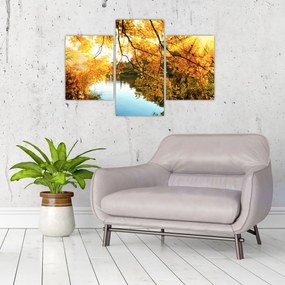 Obraz - Jesenný strom (90x60 cm)