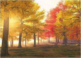 Sklenený obraz jesenných stromov (70x50 cm)