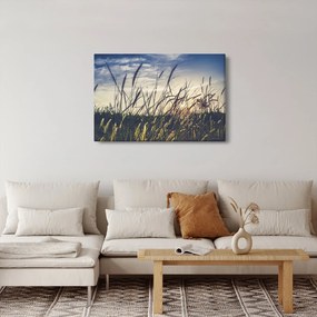 Obraz lúčnych kvetov (90x60 cm)