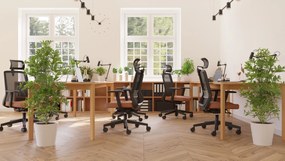 Kancelárske kreslo Coco WS HD