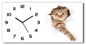 Vodorovné Moderné sklenené hodiny na stenu Mačka pl_zsp_60x30_f_52539512
