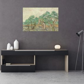 Obraz - Vincent van Gogh, The Olive Orchard, reprodukcia (90x60 cm)