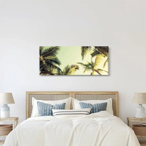 Obraz s kokosovými palmami (120x50 cm)