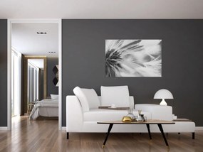 Obraz - Púpava (90x60 cm)
