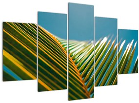 Obraz - Detail palmového listu (150x105 cm)
