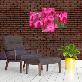 Obraz - Ružové tulipány (90x60 cm)