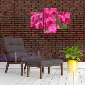 Obraz - Ružové tulipány (90x60 cm)