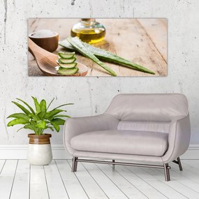 Obraz - Aloe vera (120x50 cm)