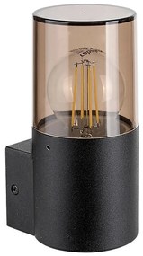 Rabalux 7158 - Vonkajšie nástenné svietidlo TEPLICE 1xE27/12W/230V IP44 RL7158