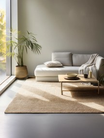 Hanse Home, Kusový koberec Bouclé Jute 105974 Natural Golden, 80x150, béžová, chodba / predsieň