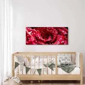 Obraz kvetu červenej ruže (120x50 cm)
