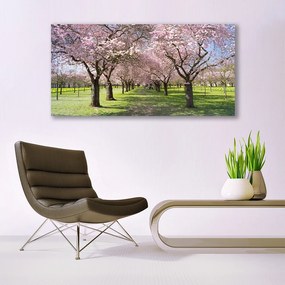 Obraz na akrylátovom skle Chodník stromy príroda 120x60 cm