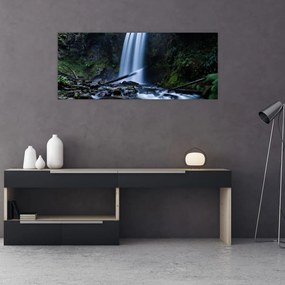 Obraz - Vodopád (120x50 cm)