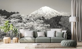 Fototapeta hora Fuji v čiernobielom - 300x200