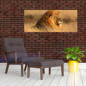 Obraz - Národný park Etosha (120x50 cm)