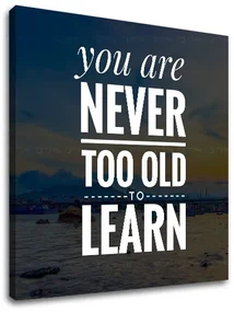 Motivačný obraz na stenu You are never too old | rôzne rozmery