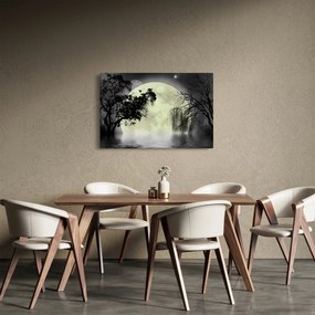 Obraz - Spln nad hladinou, čiernobiely variant (90x60 cm)
