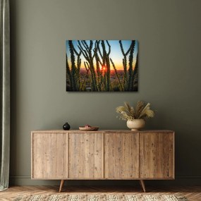 Obraz - Rastliny (70x50 cm)