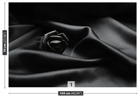 Fototapeta Vliesová Čierna ruža 208x146 cm