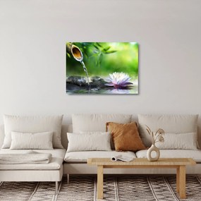 Sklenený obraz - Lotus (70x50 cm)