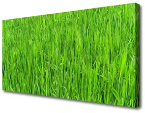 Obraz Canvas Zelená tráva príroda trávnik 140x70 cm