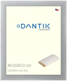 DANTIK rám na obraz 40x50 | LEDVINKA bílá (Plexi Čiré)
