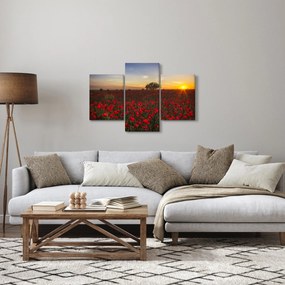 Obraz lúky s vlčími makmi (90x60 cm)