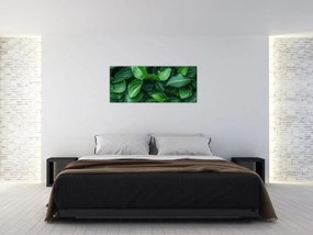 Obraz - Zelené listy (120x50 cm)