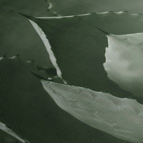 Obraz - Zelená agáve (150x105 cm)