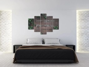 Obraz - Brečtan (150x105 cm)