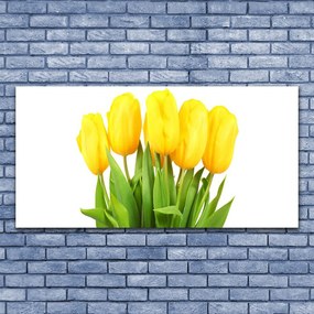 Obraz plexi Tulipány kvety rastlina 120x60 cm