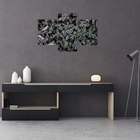 Obraz - Zamrznuté rastliny (90x60 cm)