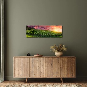 Obraz vinice s farebným nebom (s hodinami) (90x30 cm)