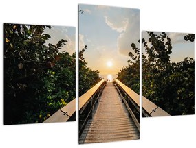 Obraz - cesta k slnku (90x60 cm)